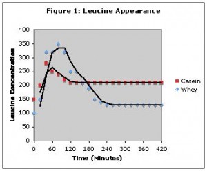 Speed of Digestion for Casein vs. Whey