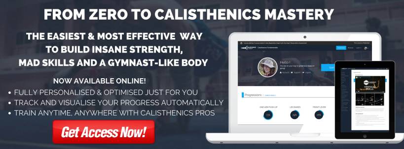 calisthenics academy the ultimate calisthenics training program