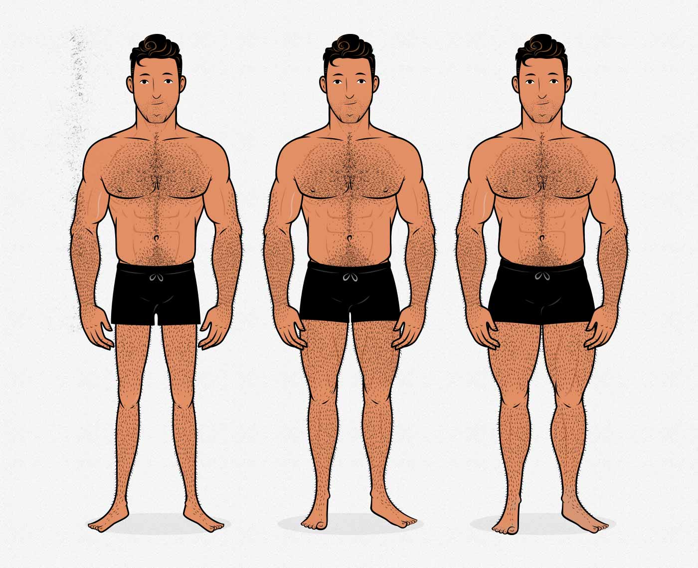 Illustration of men with different leg sizes and degrees of muscularity.
