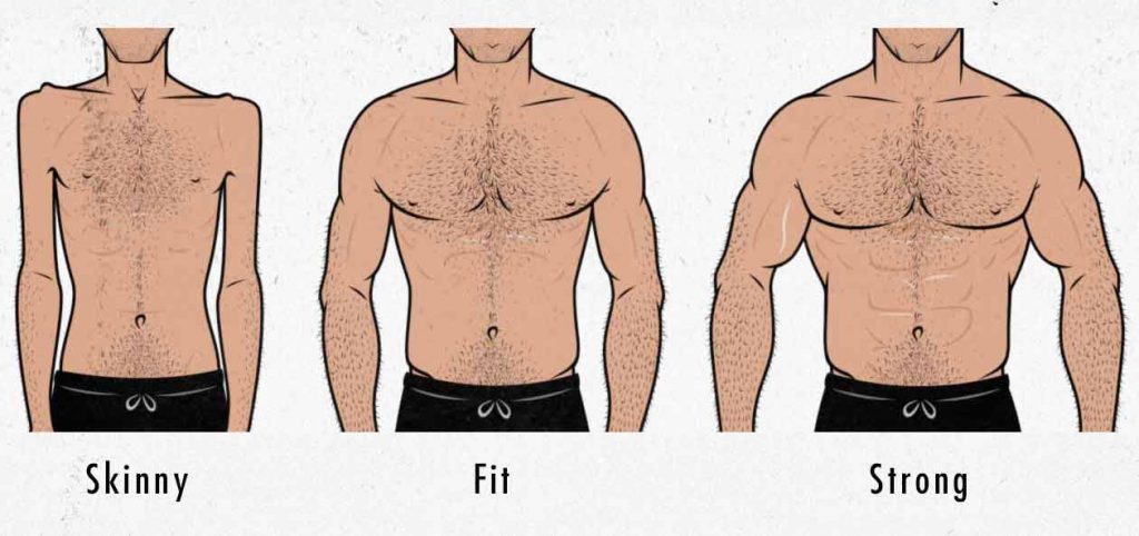 Illustration of skinny, fit, and strong male body types.