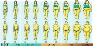 Рассчитать индекс массы тела