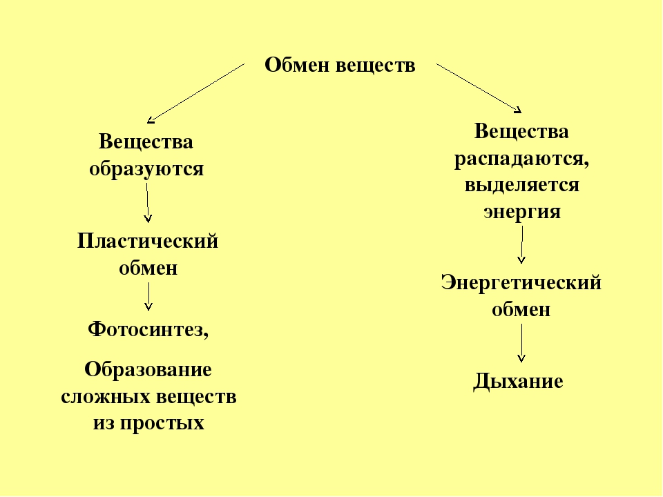 Обмен энергии схема