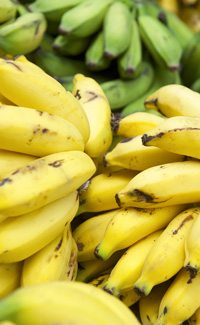 bananas are potassium rich