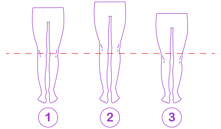 legs-proportion