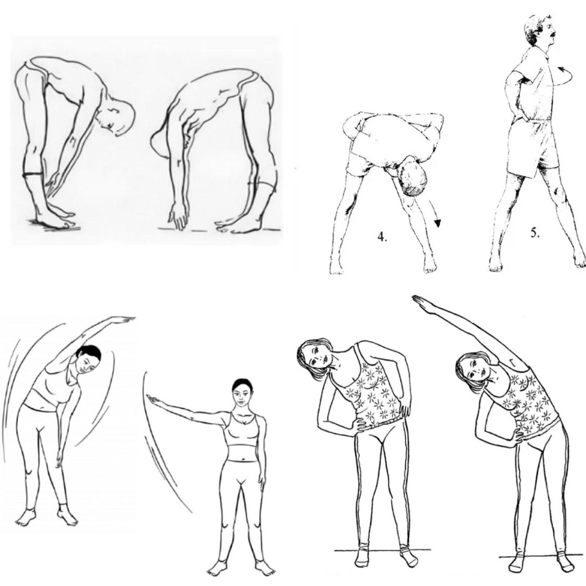 Упражнения для разминки мышц спины