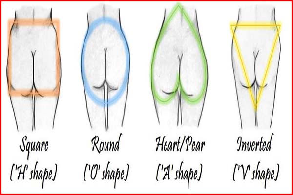 types of buttocks on female image