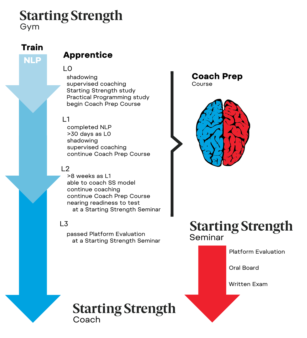 infographic starting strength coach apprenticeship