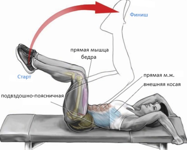 Как убрать жировые складки на спине в короткие сроки. Упражнения, диета, массаж