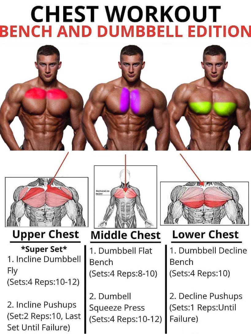 Chest Workout