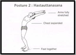 Surya Namaskar Pose 2 - Hasta Uttasana