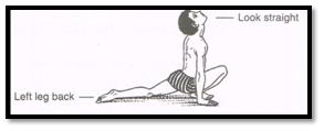 Surya Namaskar Pose 4 - Aswa Sanchalanasana