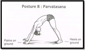 Surya Namaskar Pose 8 - Parvatasana