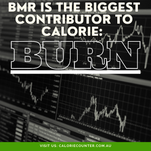 BMR causes Calorie Burn