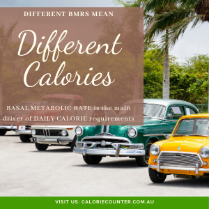 BMR determines Daily Calories
