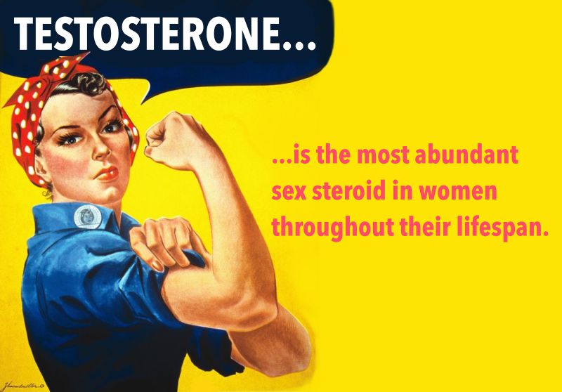 Testosterone Production In Women