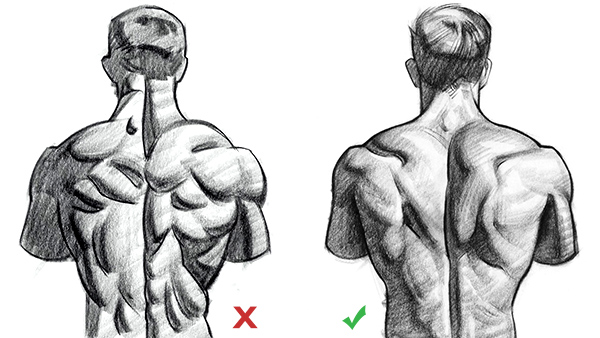 Shading Forms of the Upper Back