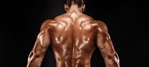 Как накачать спинные мышцы. 